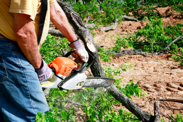 Leaf Removal in South Huntington, NY